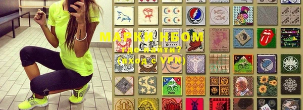 соль ск Кукмор